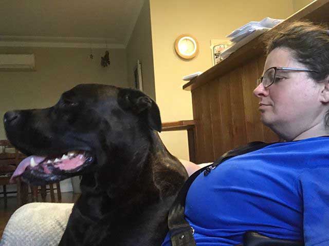 BJ-Errand Girl's biggest lap dog